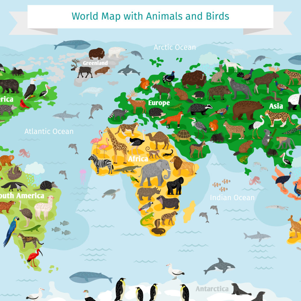 La carte des animaux a des couleurs vives