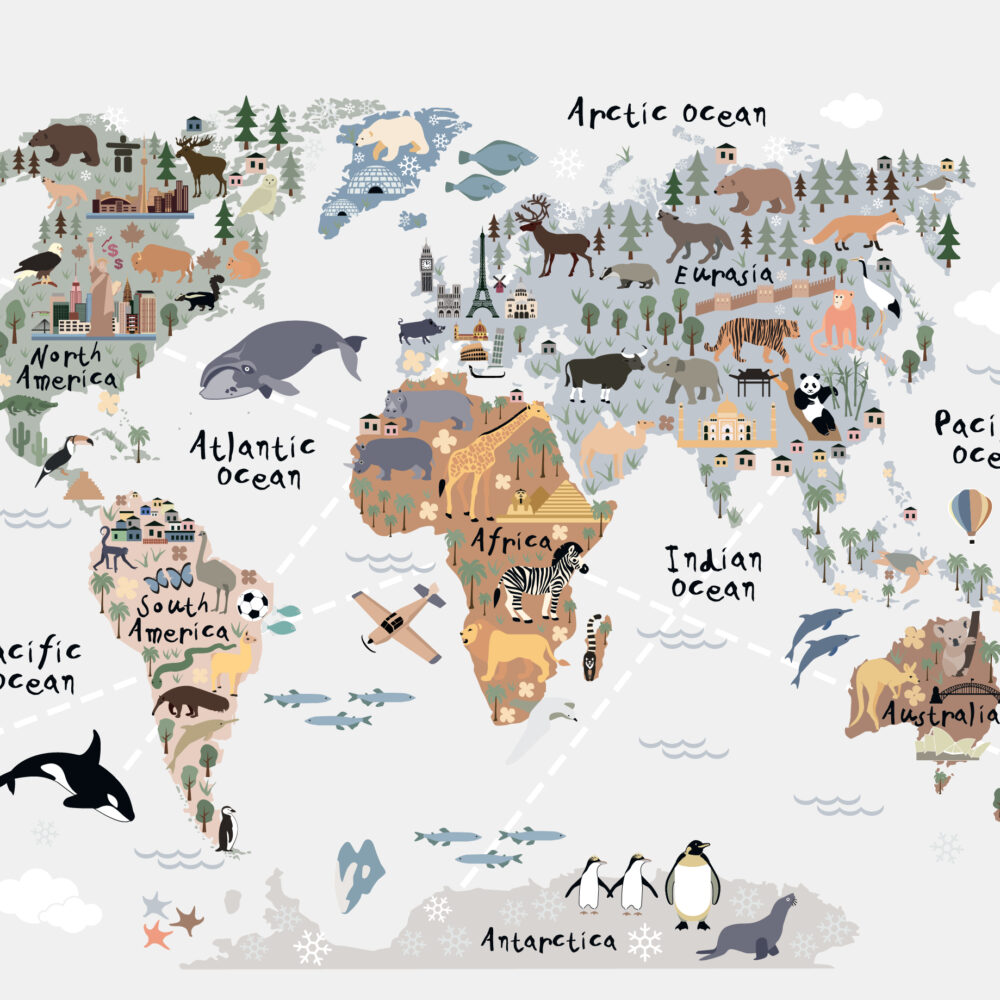 Une carte du monde fascinante