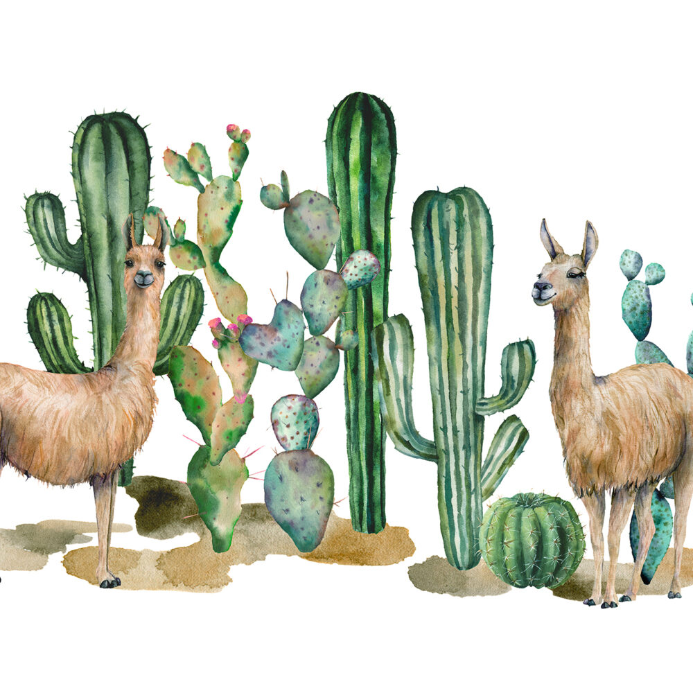 Aquarelle d'un lama avec un cactus