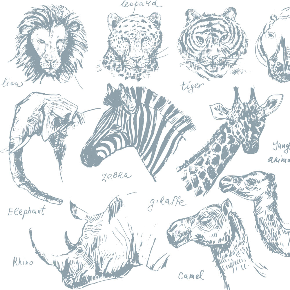 Croquis d'animaux tropicaux