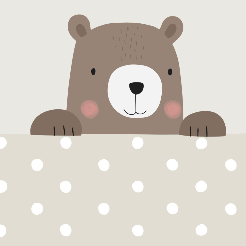 Un ours qui regarde