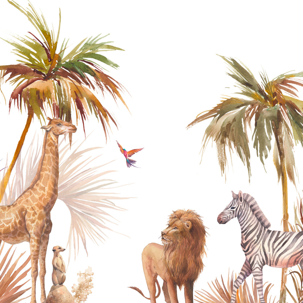 Safari