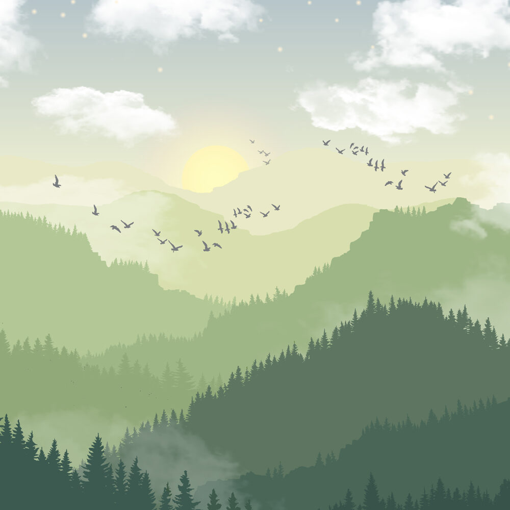 Des montagnes vertes et ensoleillées