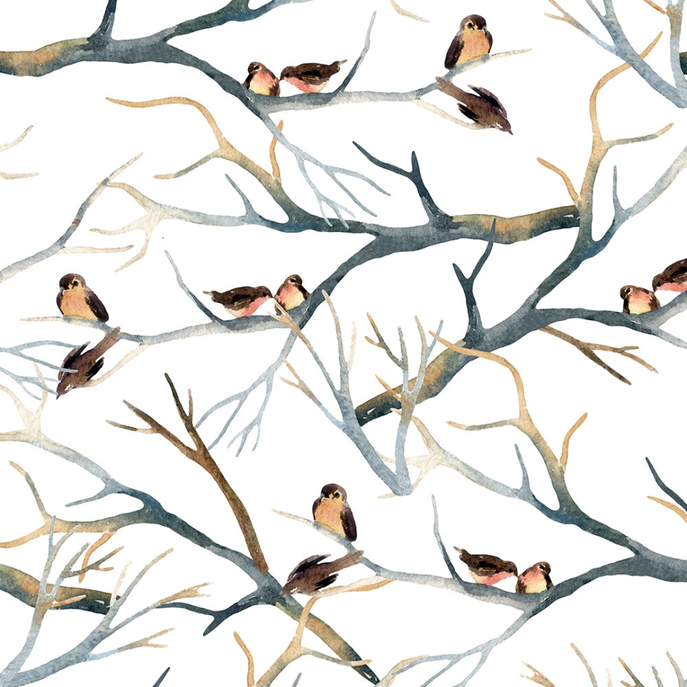 Oiseaux sur les branches
