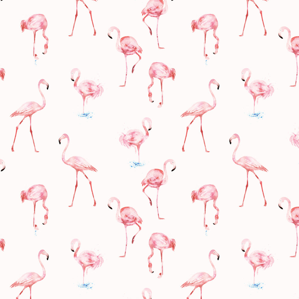 Flamant rose