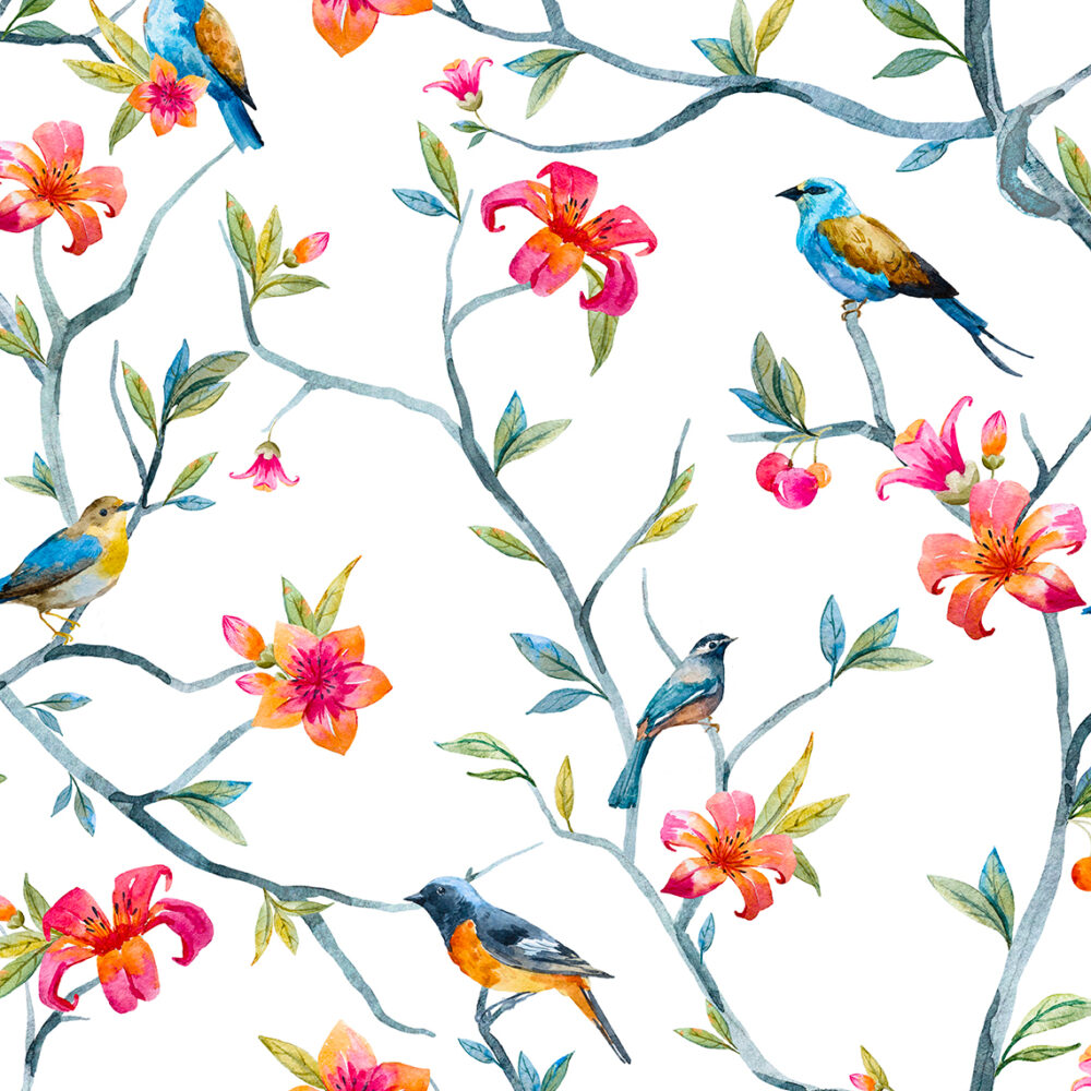 Oiseaux sur des branches d'hibiscus