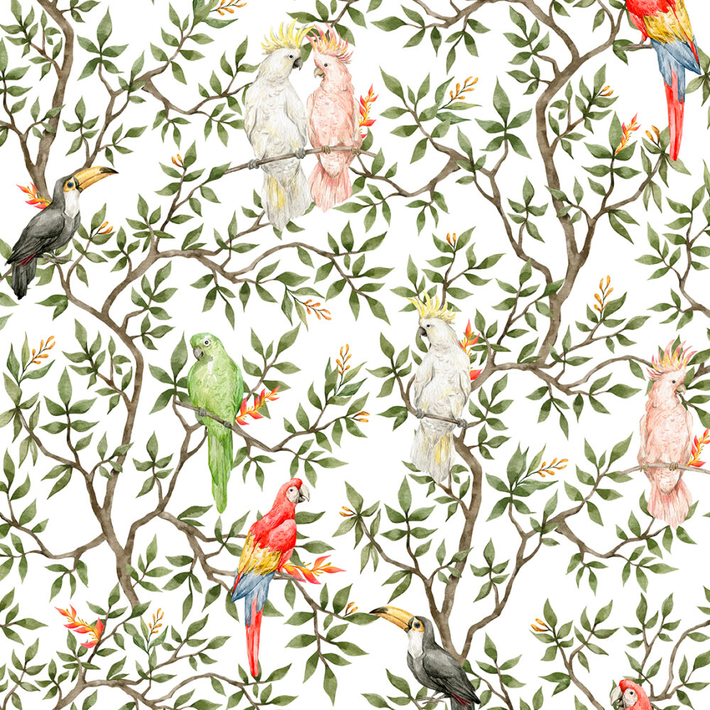 Perroquets toucans sur les branches