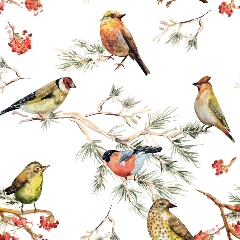 Oiseaux et sorbiers