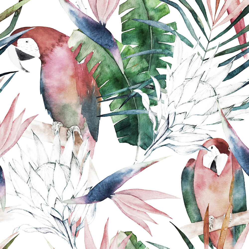 Perroquets dans les feuilles tropicales