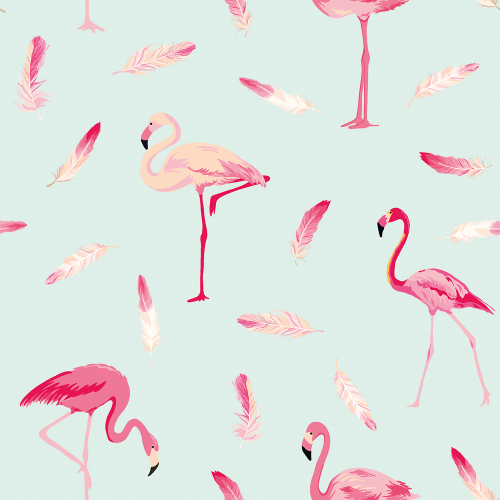 Flamants sur fond turquoise
