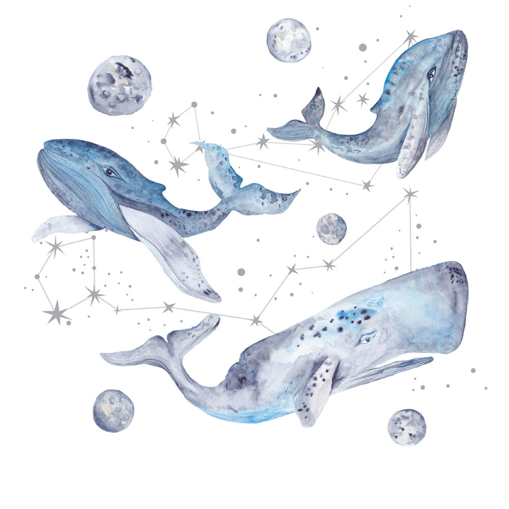 Baleines et constellations