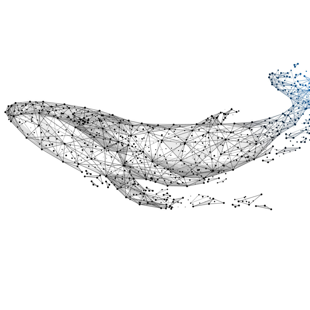 Dessin polygonal d'une baleine